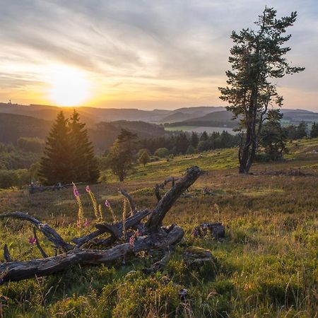 Fewo Poenblick Willingen  Eksteriør billede