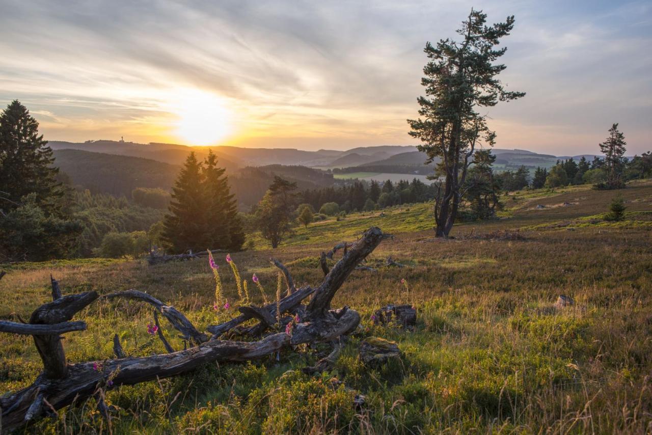 Fewo Poenblick Willingen  Eksteriør billede