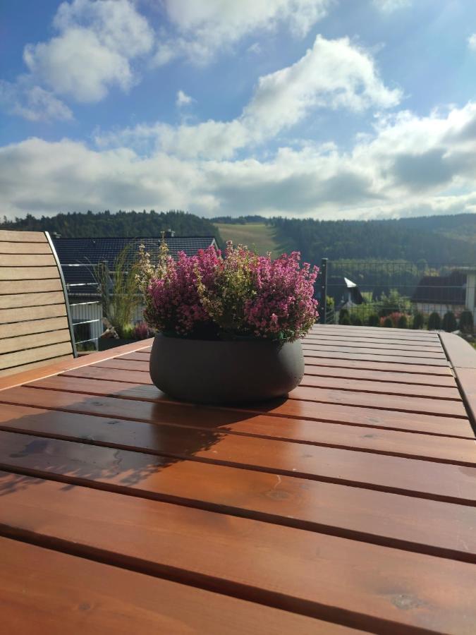 Fewo Poenblick Willingen  Eksteriør billede